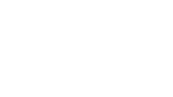Video Interaktive Mobilisation